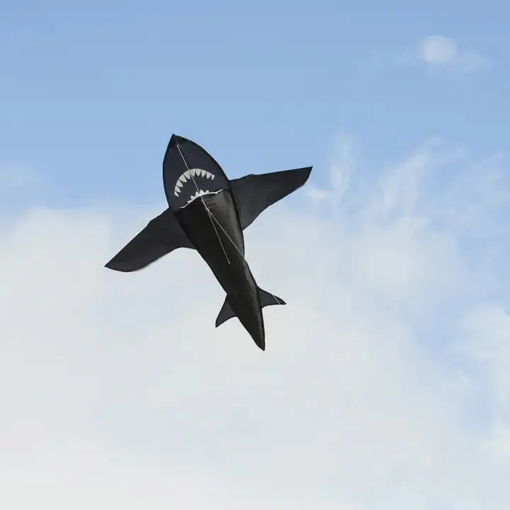 In The Breeze 4' 3D Shark Kite 1