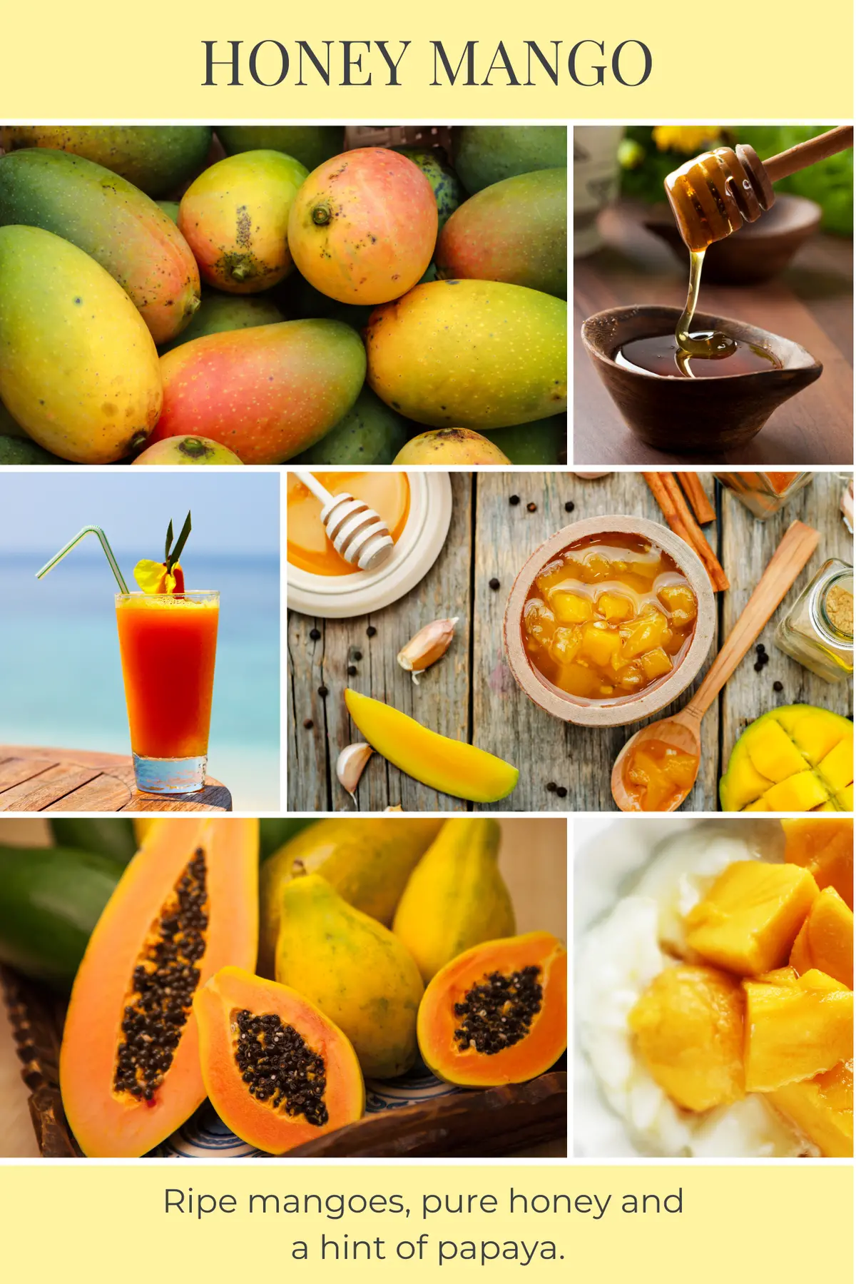 Eco Candle Company - 6Oz Eco Candle Honey Mango 2
