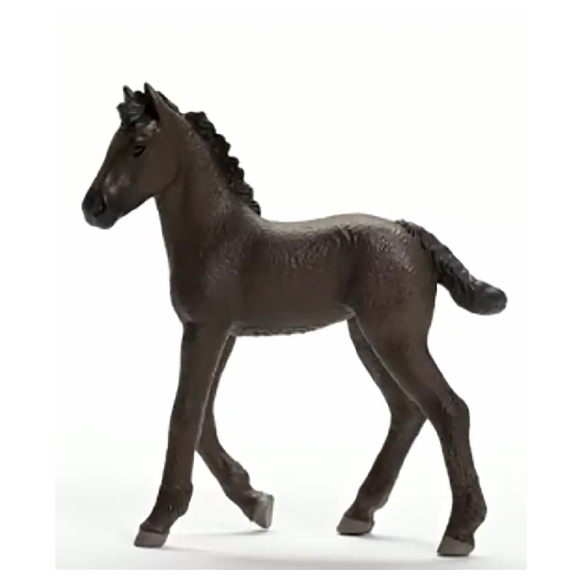 Friesian Foal Figure 1