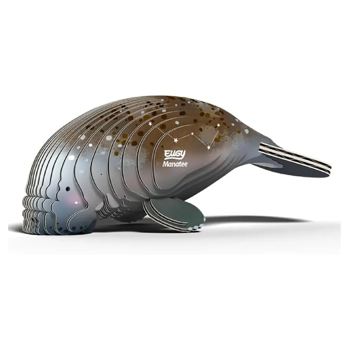 Eugy Manatee 3D Cardboard Model Kit 1
