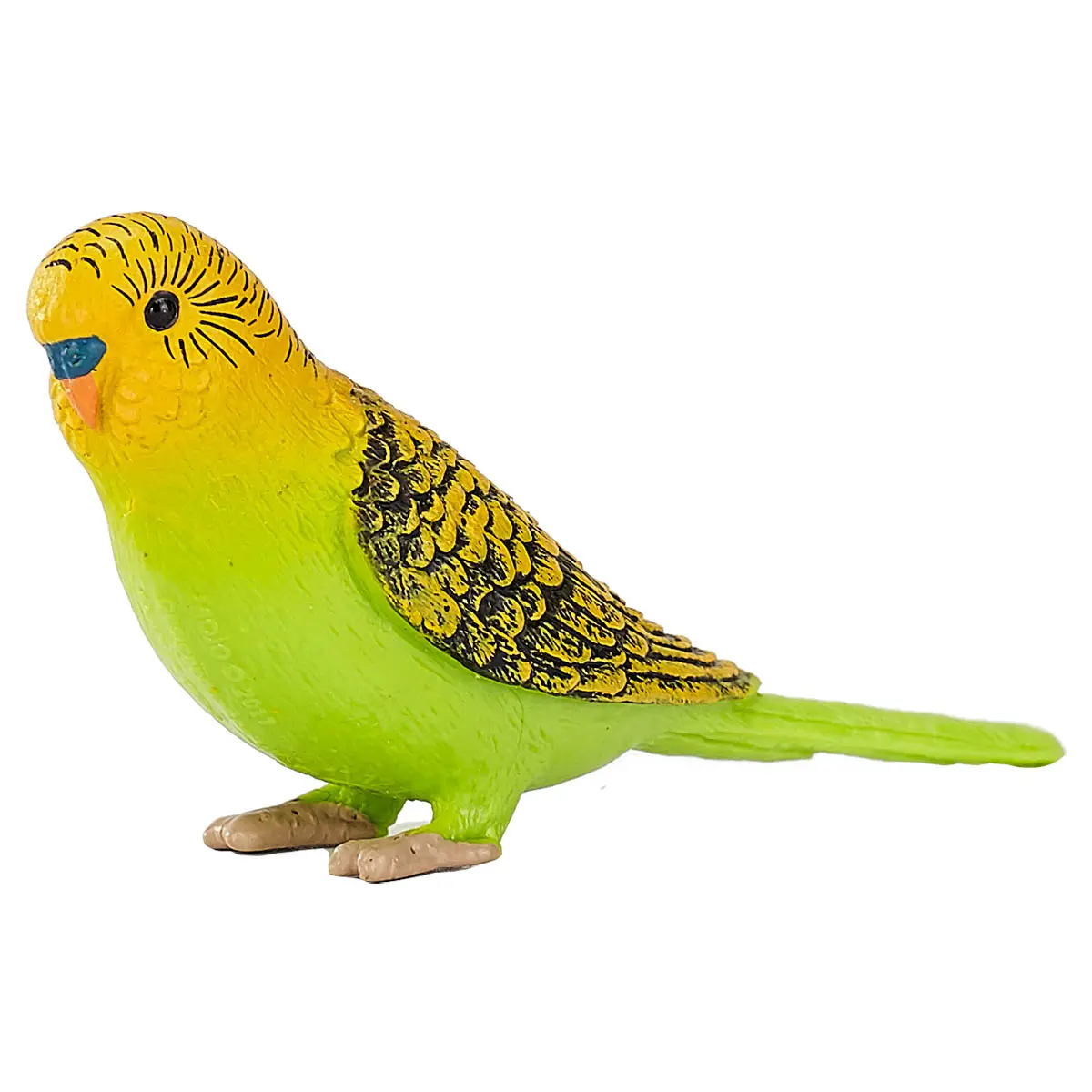 Budgerigar Green Figure 1
