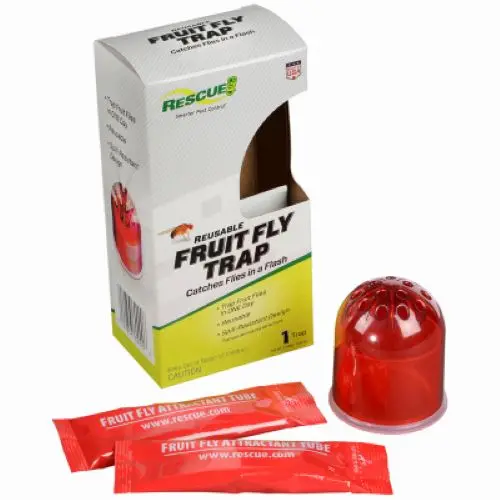 Rescue Fftr-Bb4 Reusable Pesticide Free Fruit Fly Trap - Quantity Of 8 1