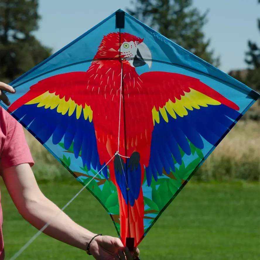 In The Breeze Parrot 30" Diamond Kite 1