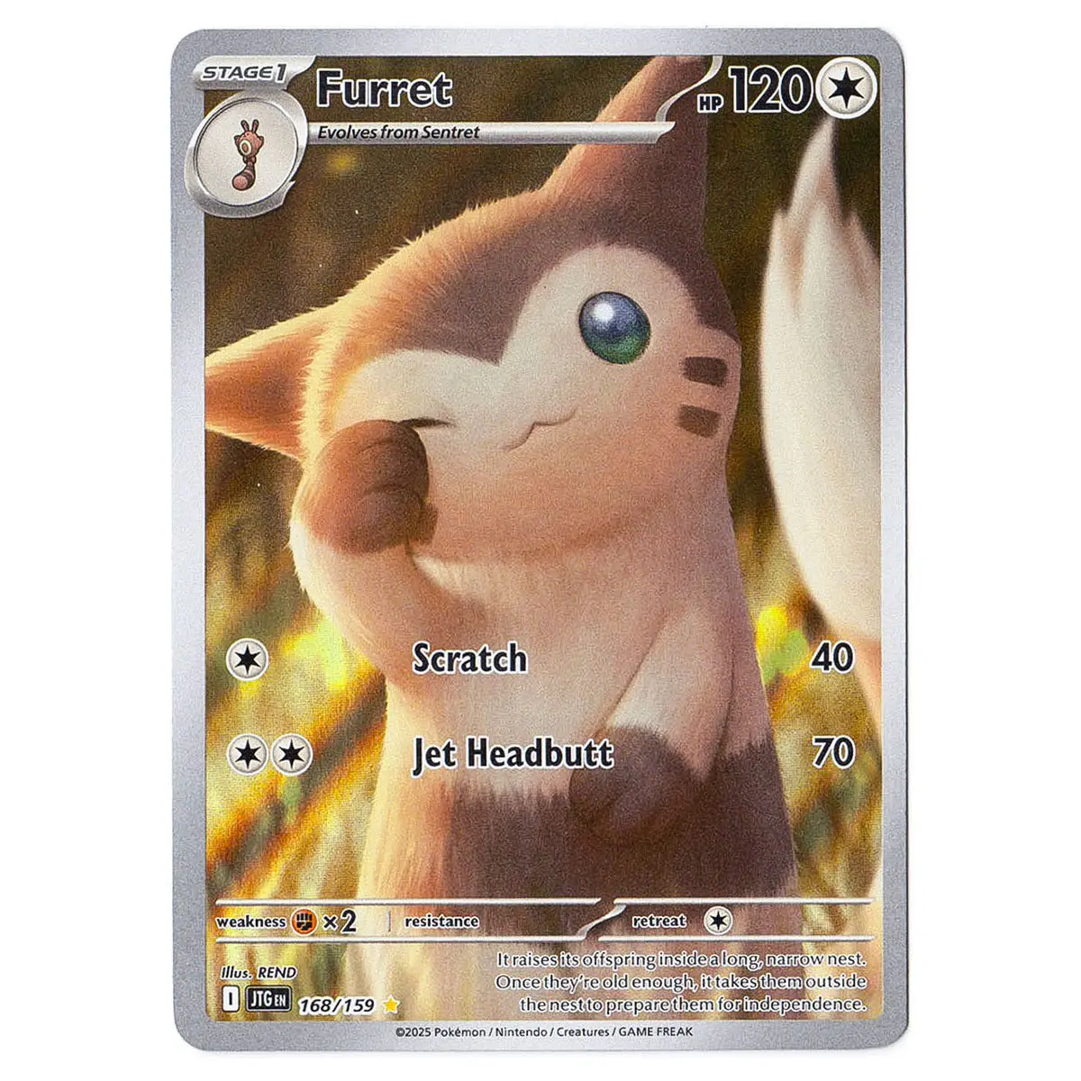 Furret #168/159 Pokémon Sv09: Journey Together 1