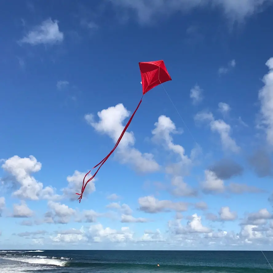 In The Breeze Red Colorfly 30" Diamond Kite 1