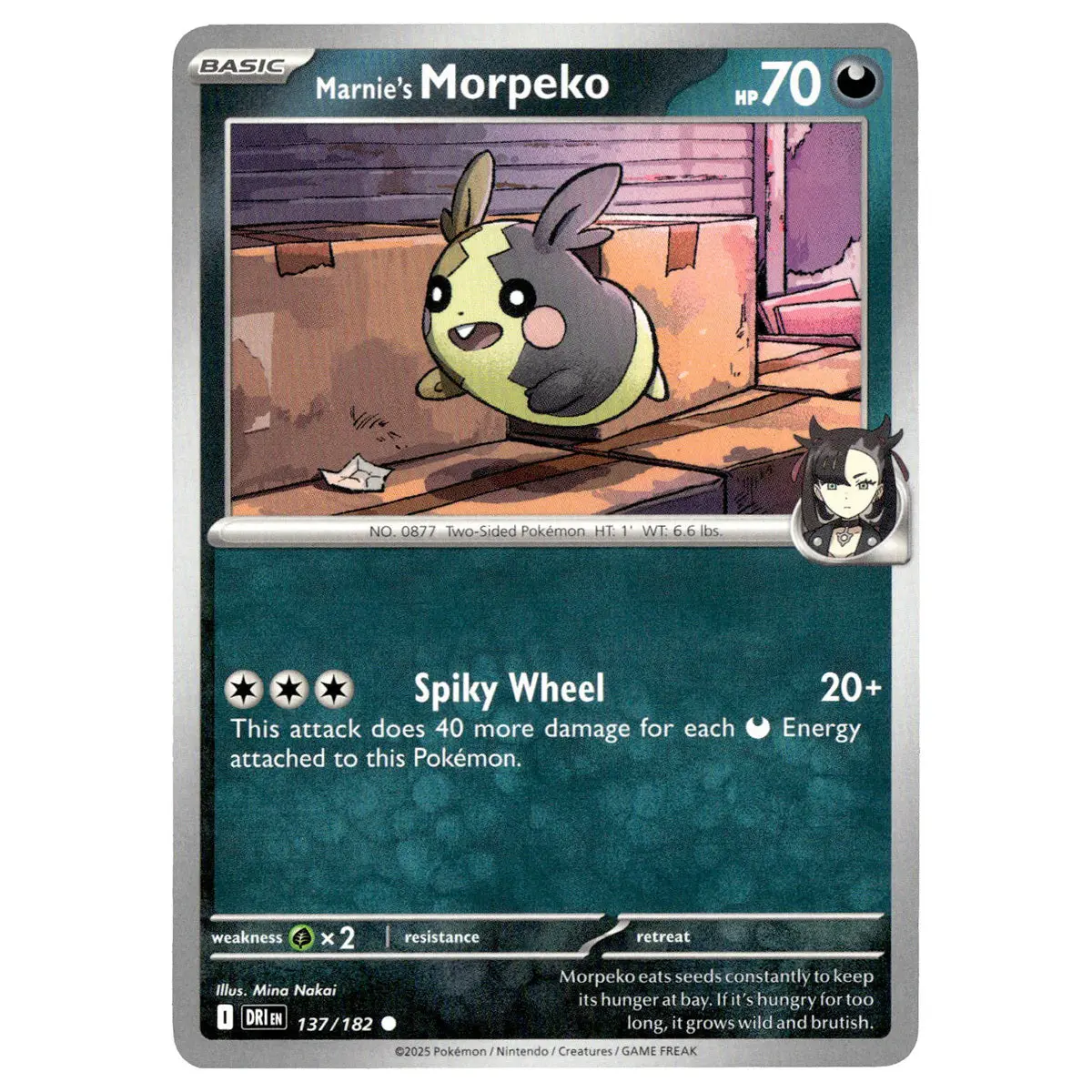 Marnie's Morpeko #137/182 Pokémon Sv10: Destined Rivals 1