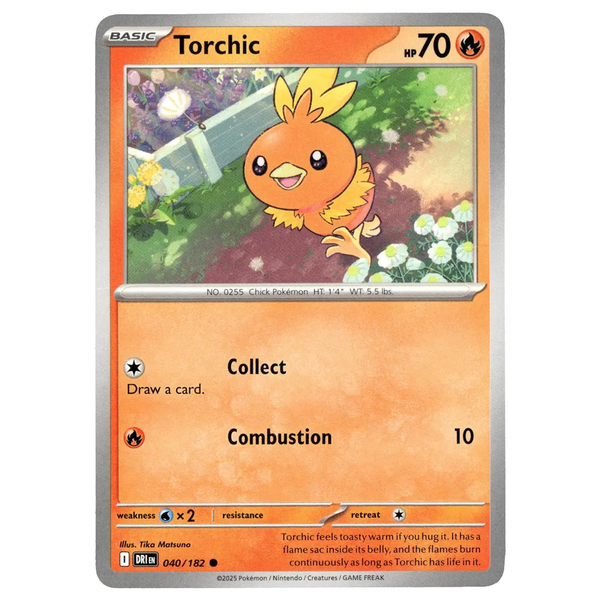 Torchic #040/182 Pokémon Sv10: Destined Rivals 1