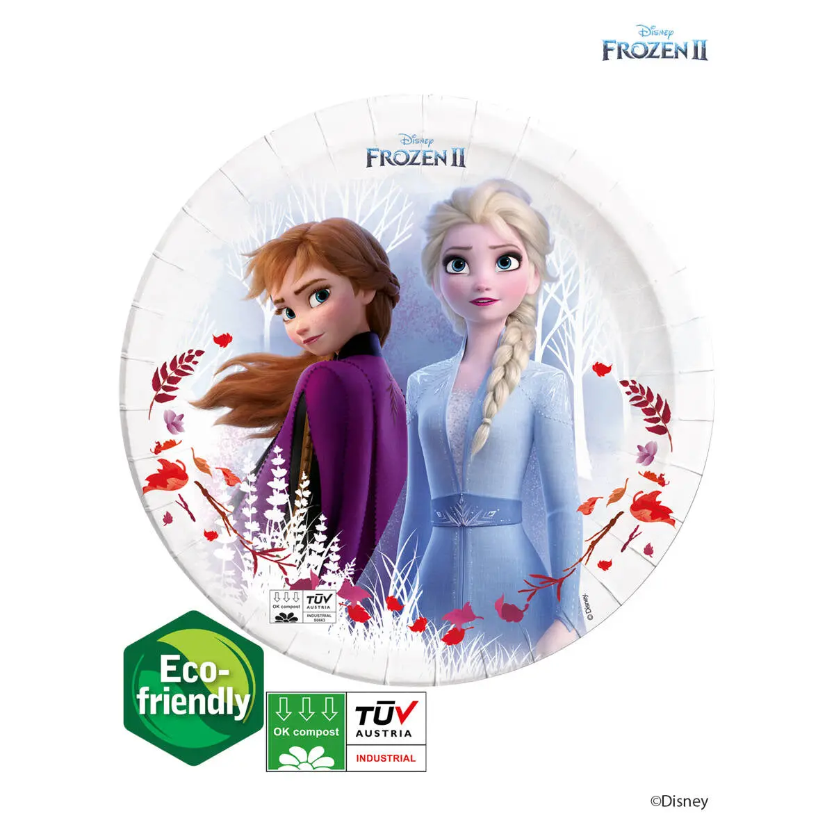 Disney Frozen 2 Compostable Paper Plates Pack Of 8 1
