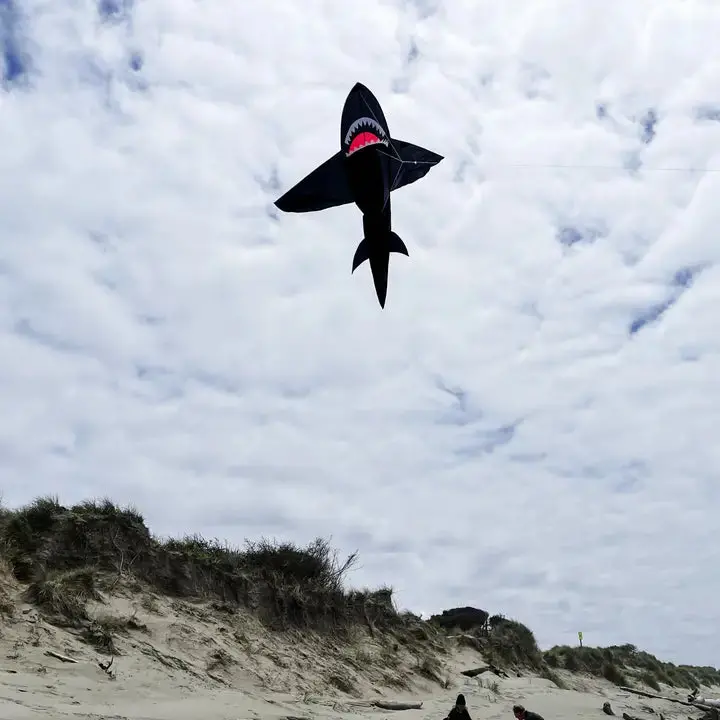 In The Breeze 5' 3D Black Shark 1