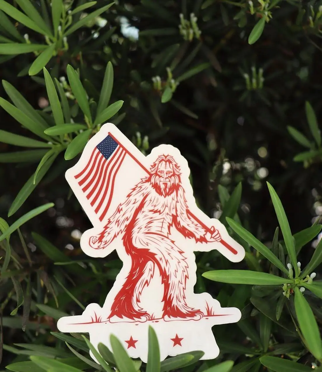Patriotic Sasquatch 1