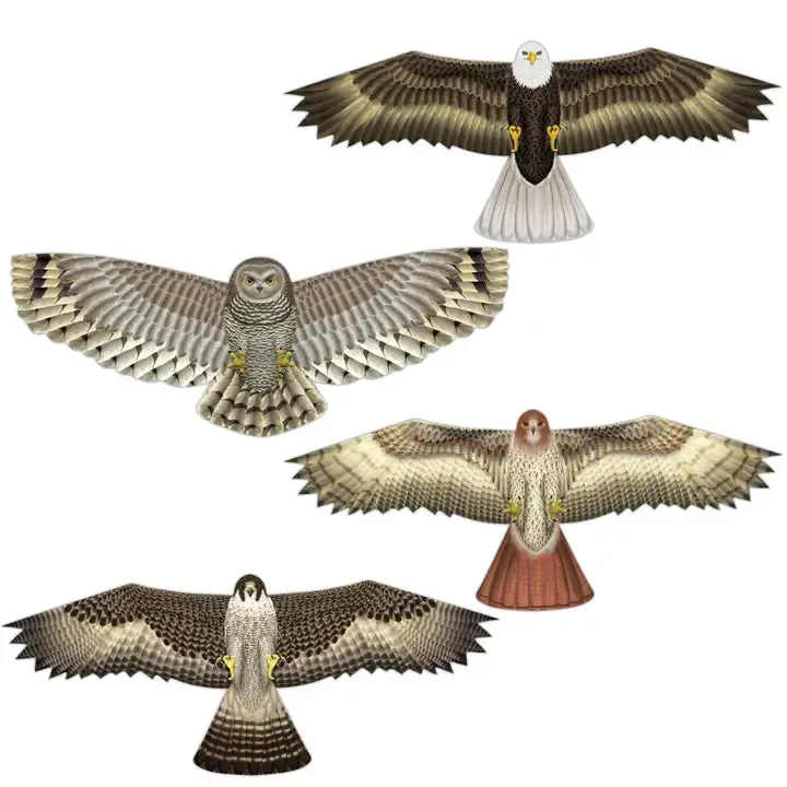In The Breeze Birds Of Prey Kites 1