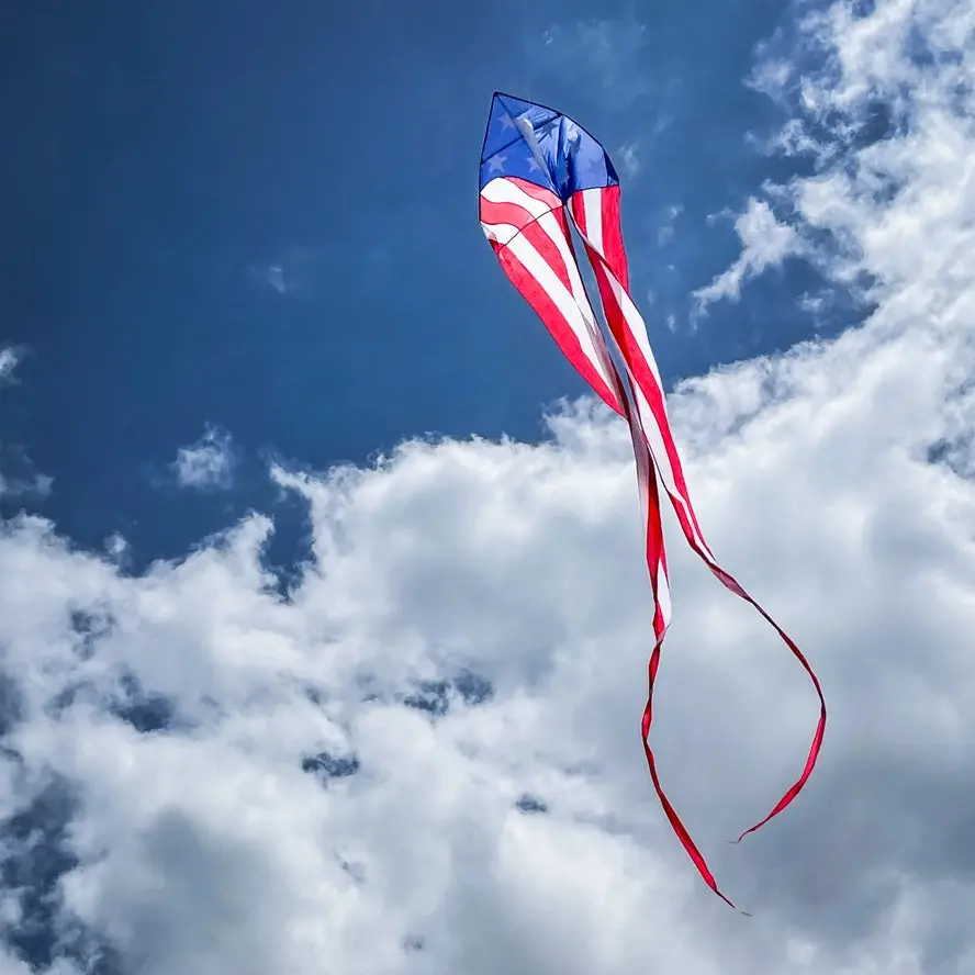 In The Breeze Patriotic 56" Delta With Long Flowing Tails 1