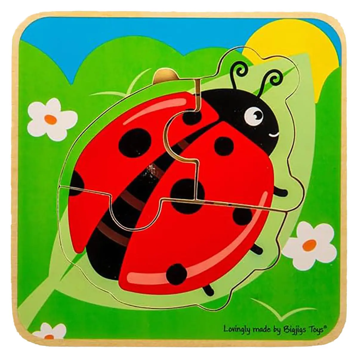 Ladybug Lifecycle Layer Puzzle 1