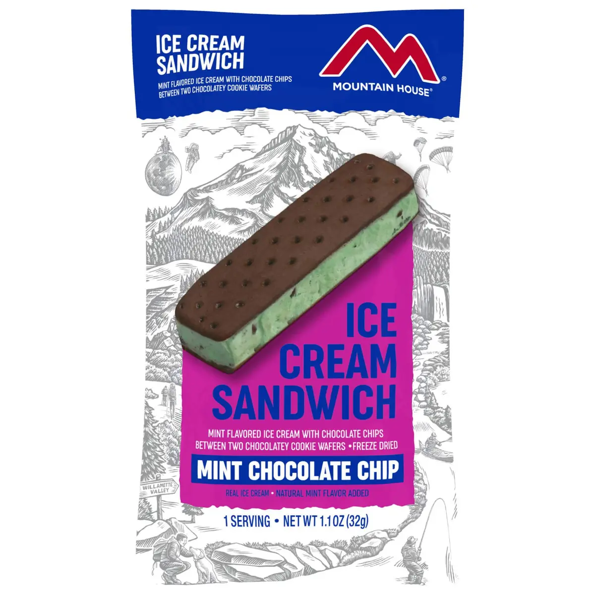 Mint Chocolate Chip Ice Cream Sandwich 1