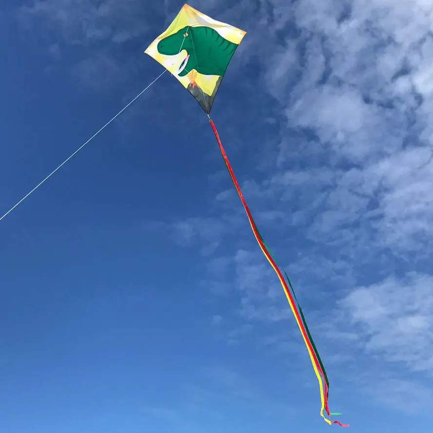 In The Breeze  Dinosaur 30" Diamond Kite 1