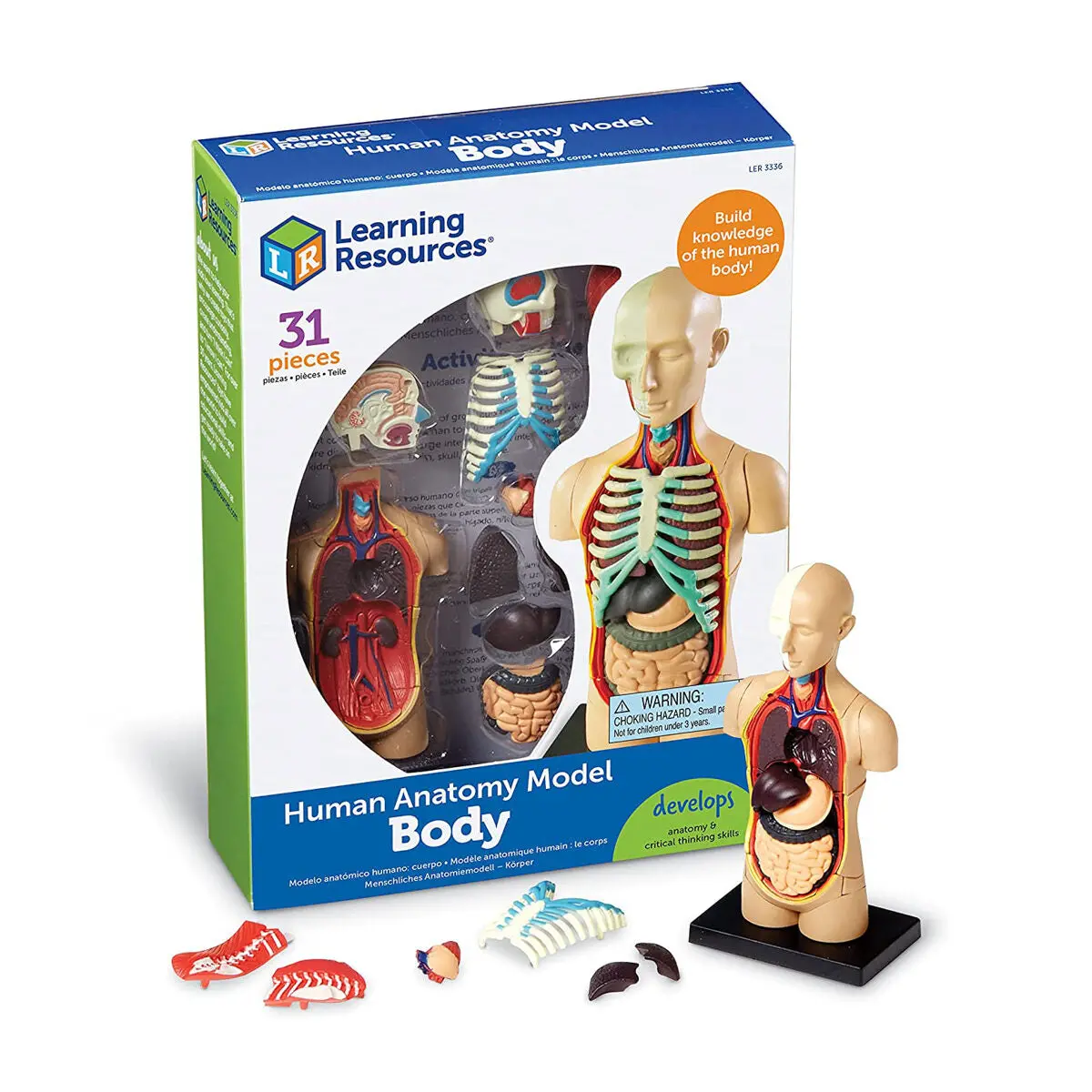 Learning Resources Human Anatomy Model Body 1