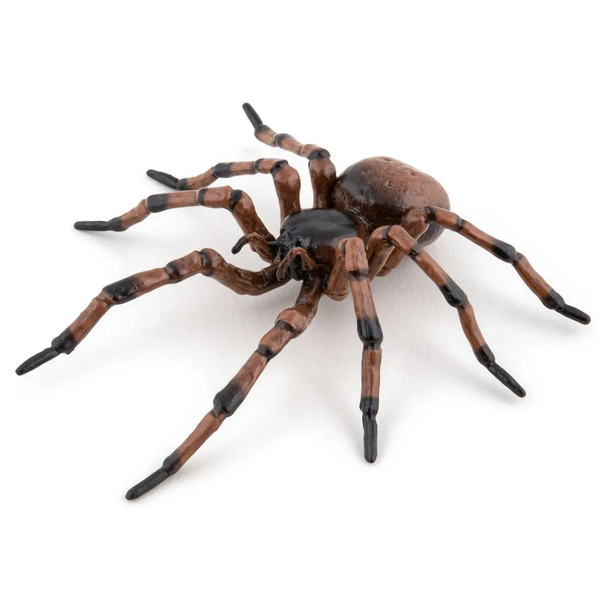 Papo Wild Life Common Spider Figure 1