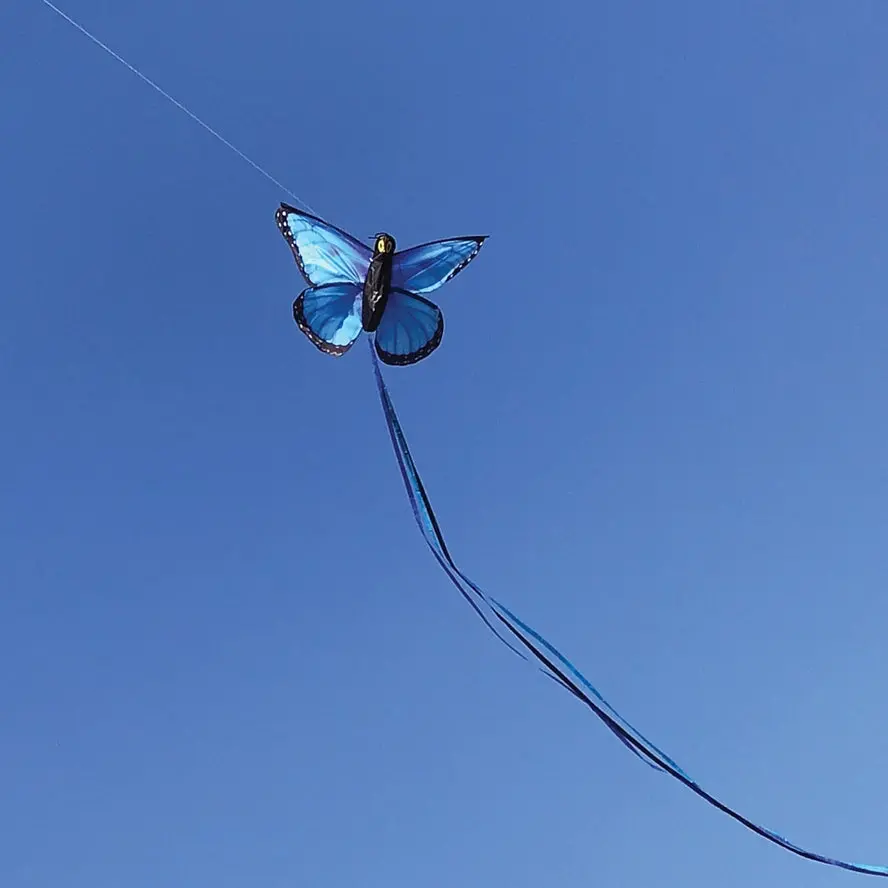 In The Breeze Blue Morpho Butterfly Kite 1