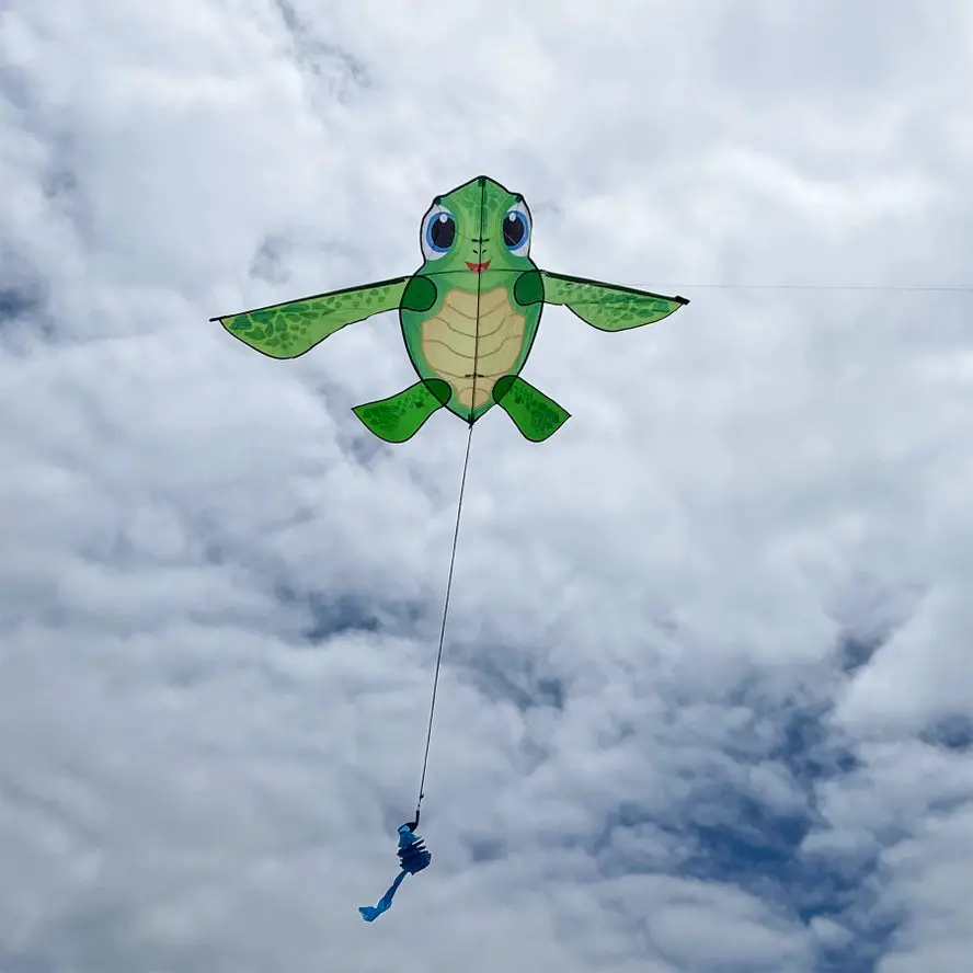 In The Breeze Baby Tortuga Kite 1
