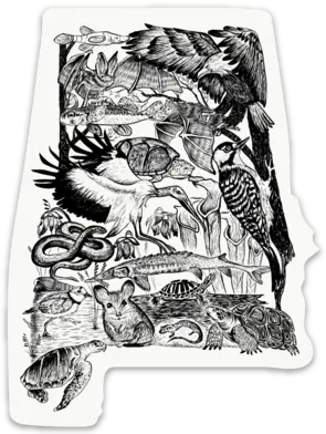 Rbo Alabama Endangered Species Sticker 1