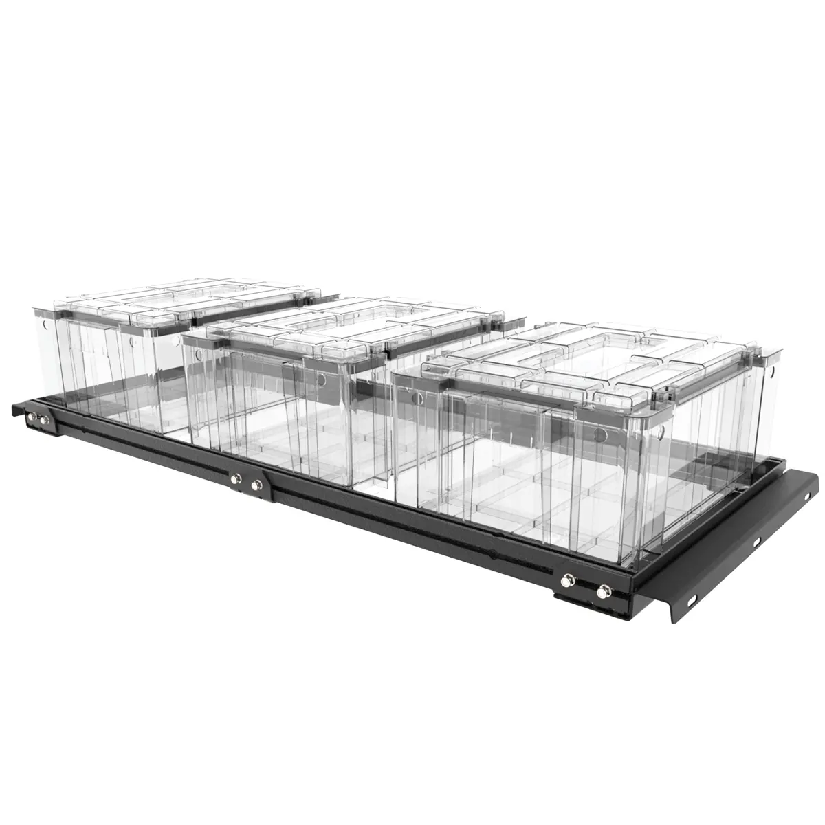 Canopy Storage Rack 1