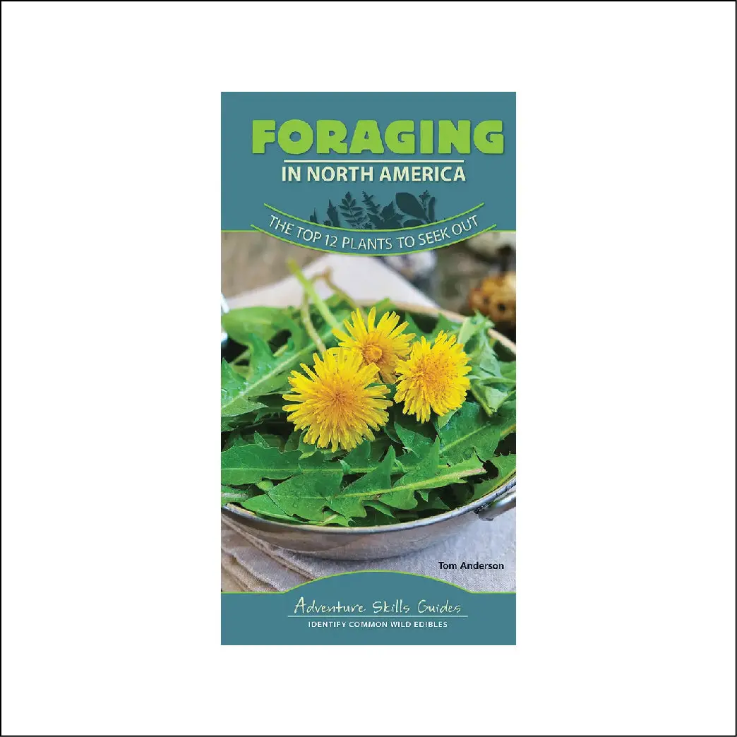 Foraging In North America Quick Guide 1