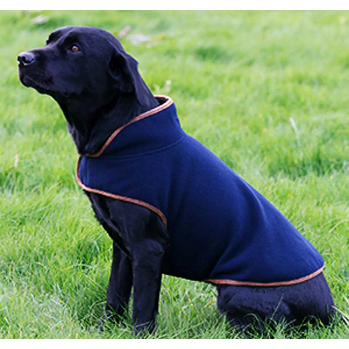Jack Pyke Fleece Dog Coat 1