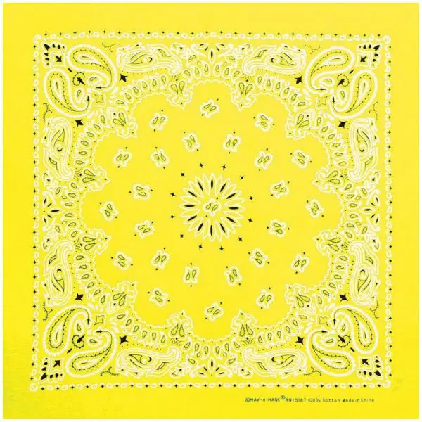 Bandana Neon Paisley 1