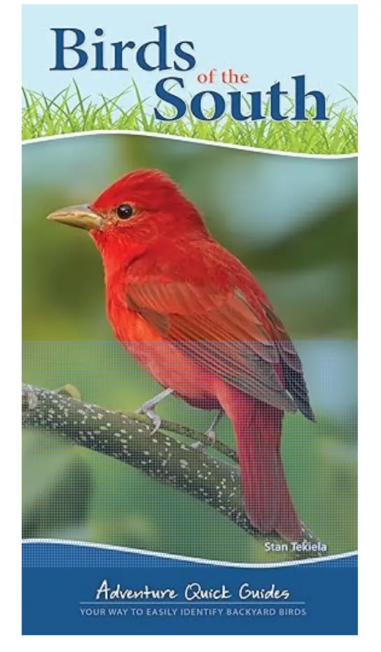 Birds Of The South 1