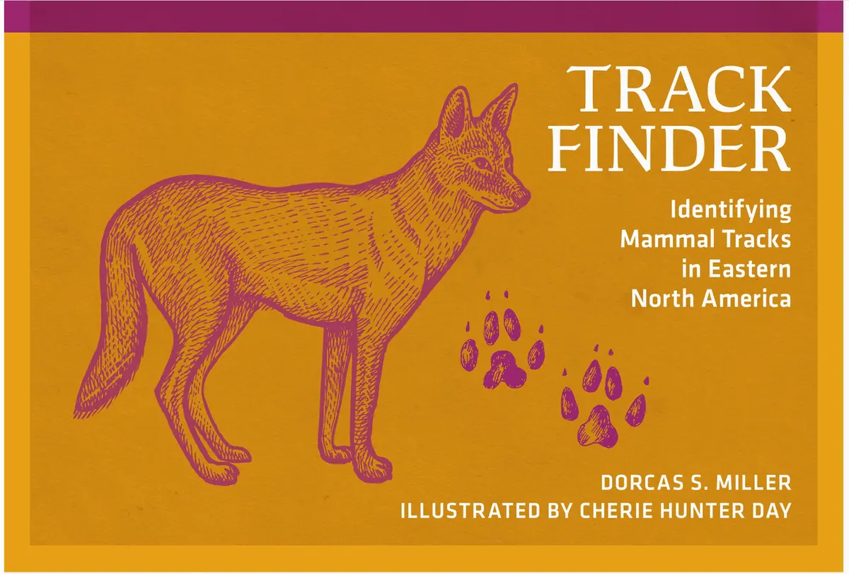 Track Finder 3E 1