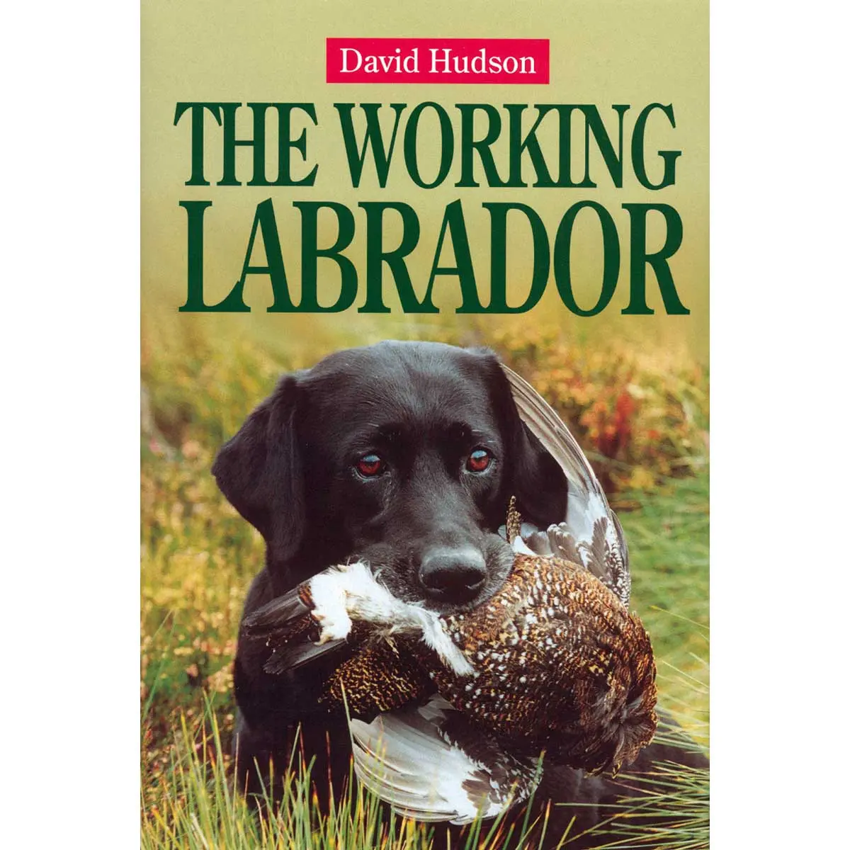 Training The Working Labrador Book 1