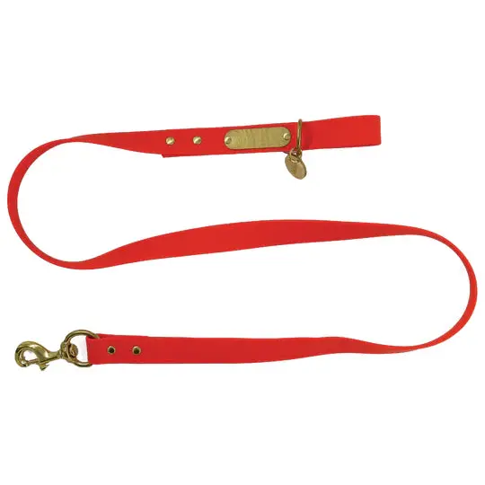 Local Boy Outfitters Biothane Dog Leash 2