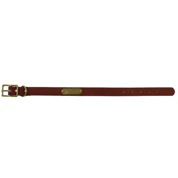Local Boy Outfitters Biothane Dog Collar 1