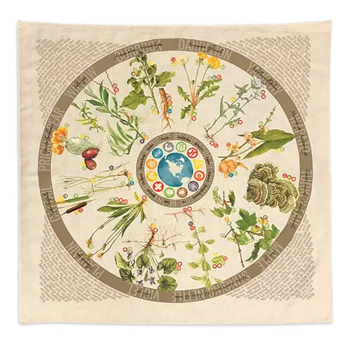 Wazoo Foraging Field Bandana 1