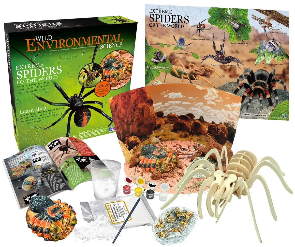 Wild Enviromental Science: Extreme Spiders Of The World 1