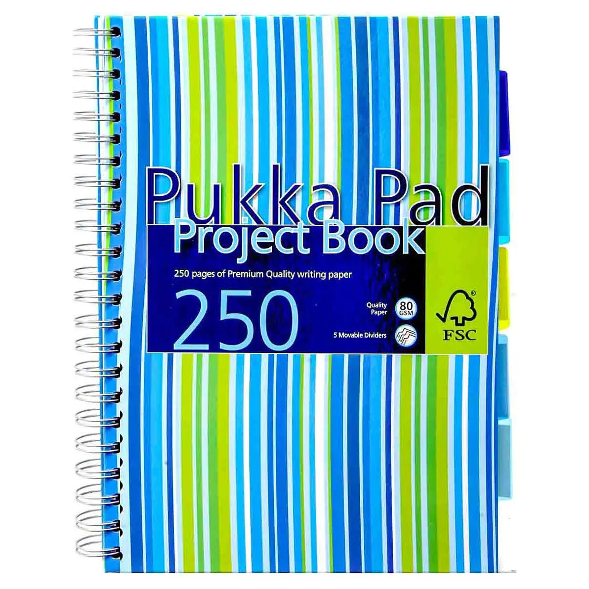 Pukka Pad A4 Stripy Project Book 250 Pages (Styles Vary) 1