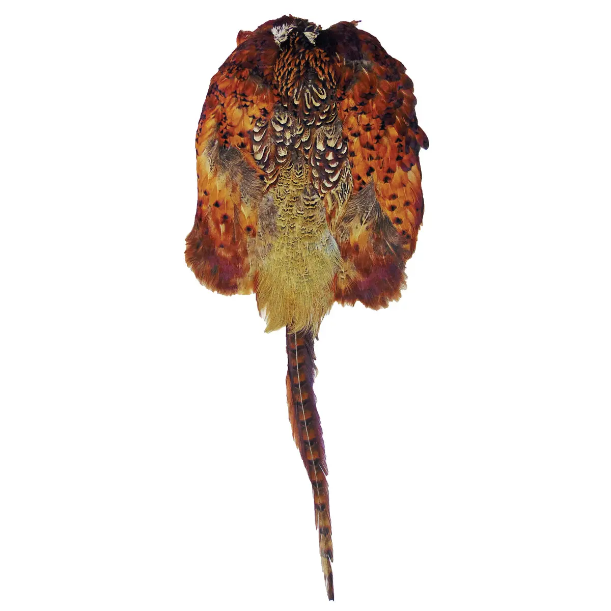 Animal Skin /Pelt Dummy 1