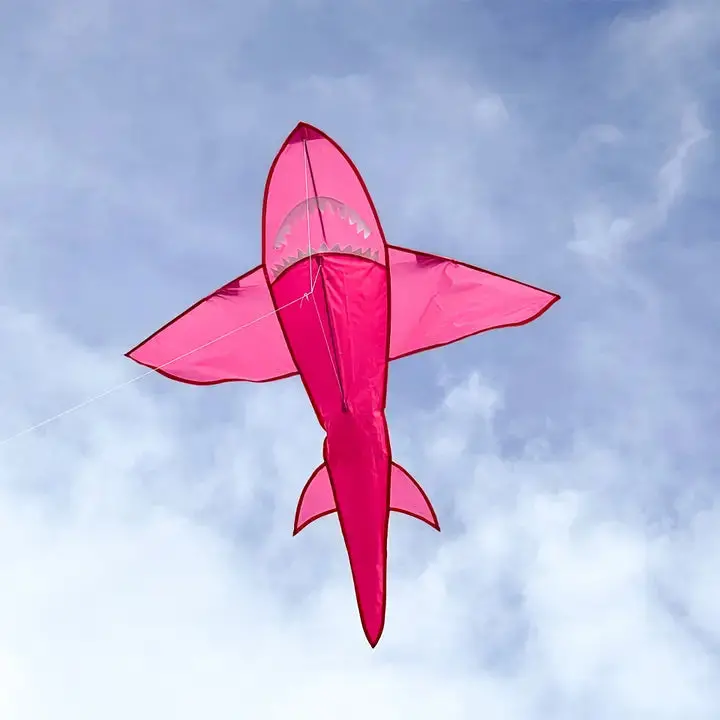 In The Breeze 5' 3D Pink Shark Kite 1