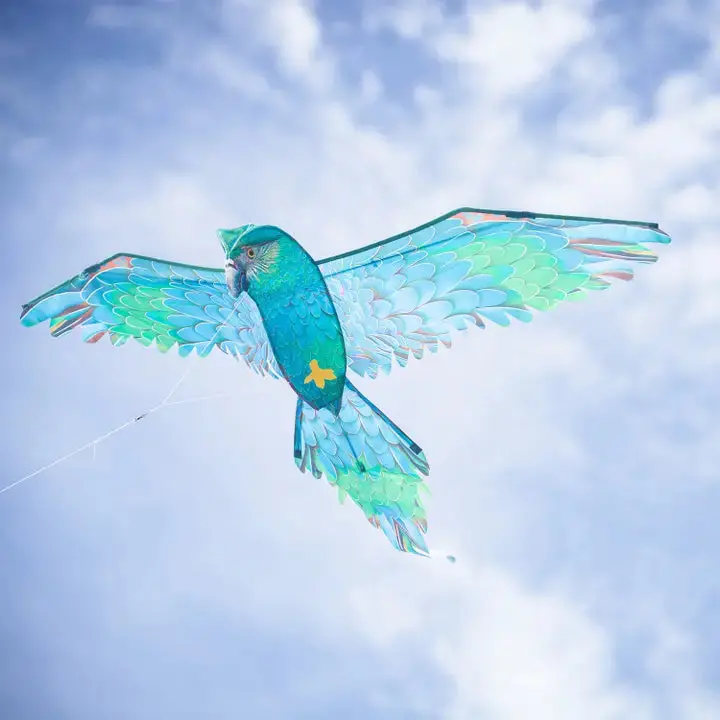 In The Breeze 3D Blue Parrot Kite 1