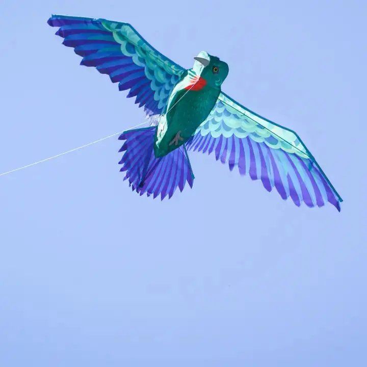 In The Breeze 3D Hummingbird Kite 1