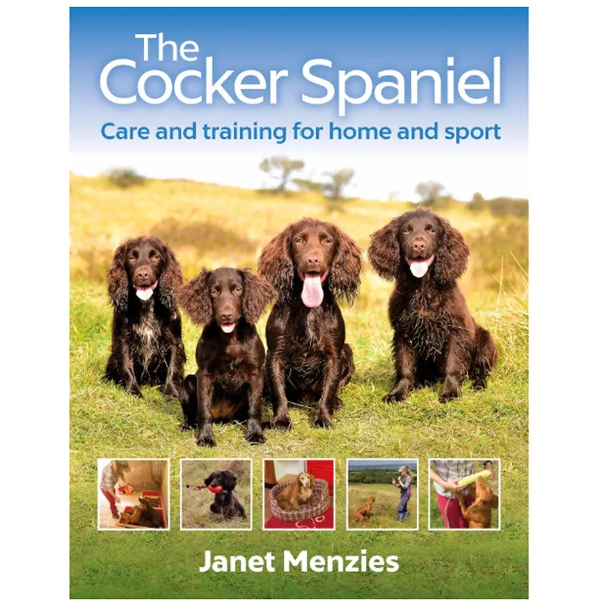 The Cocker Spaniel 1