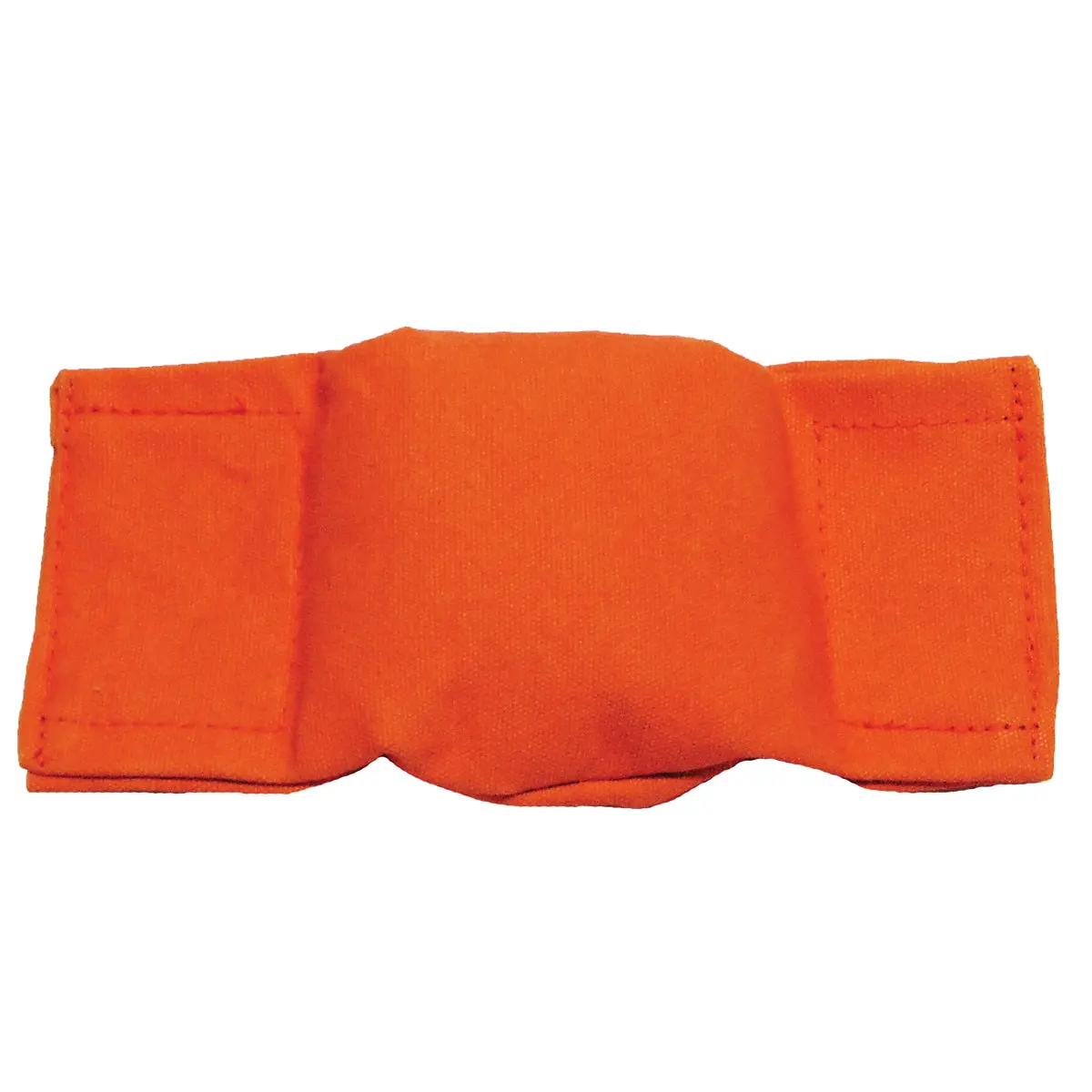 Bisley Beanbag Puppy Dummy 2
