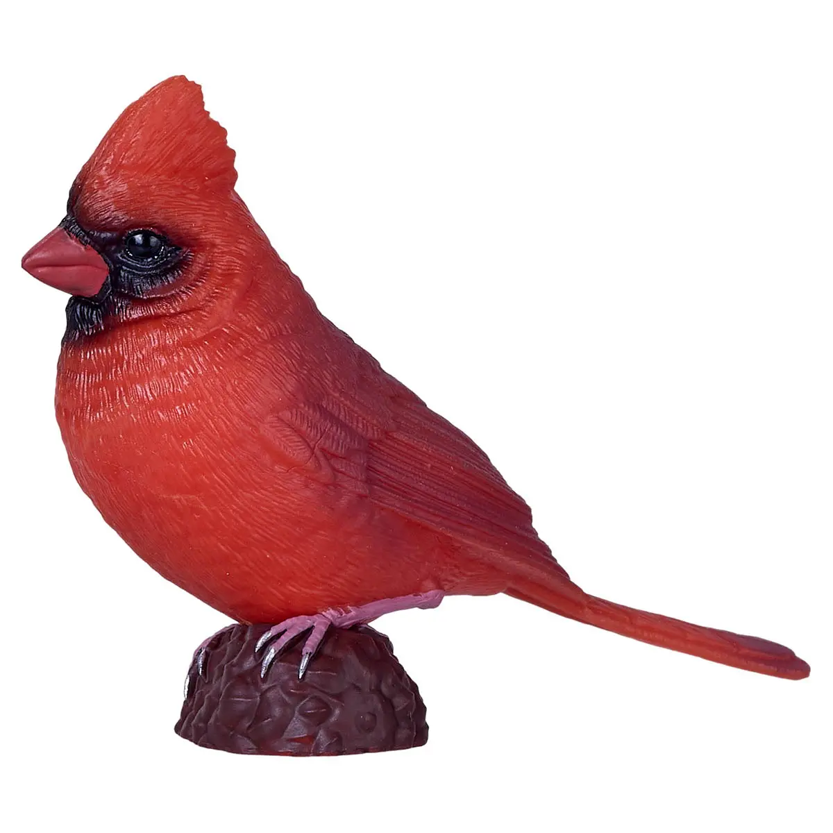 Red Cardinal Figure 1