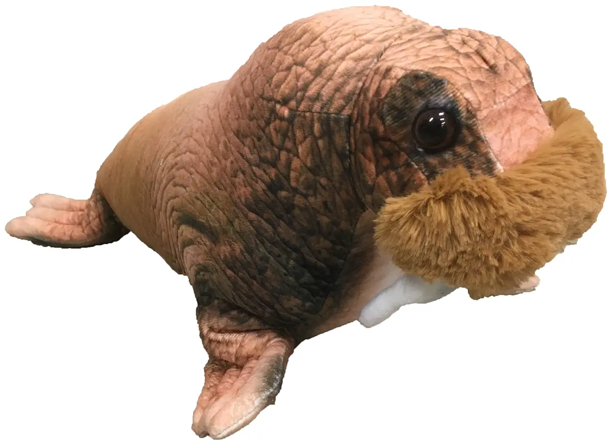 Texas Toy Distribution - 16" Walrus Plush 1