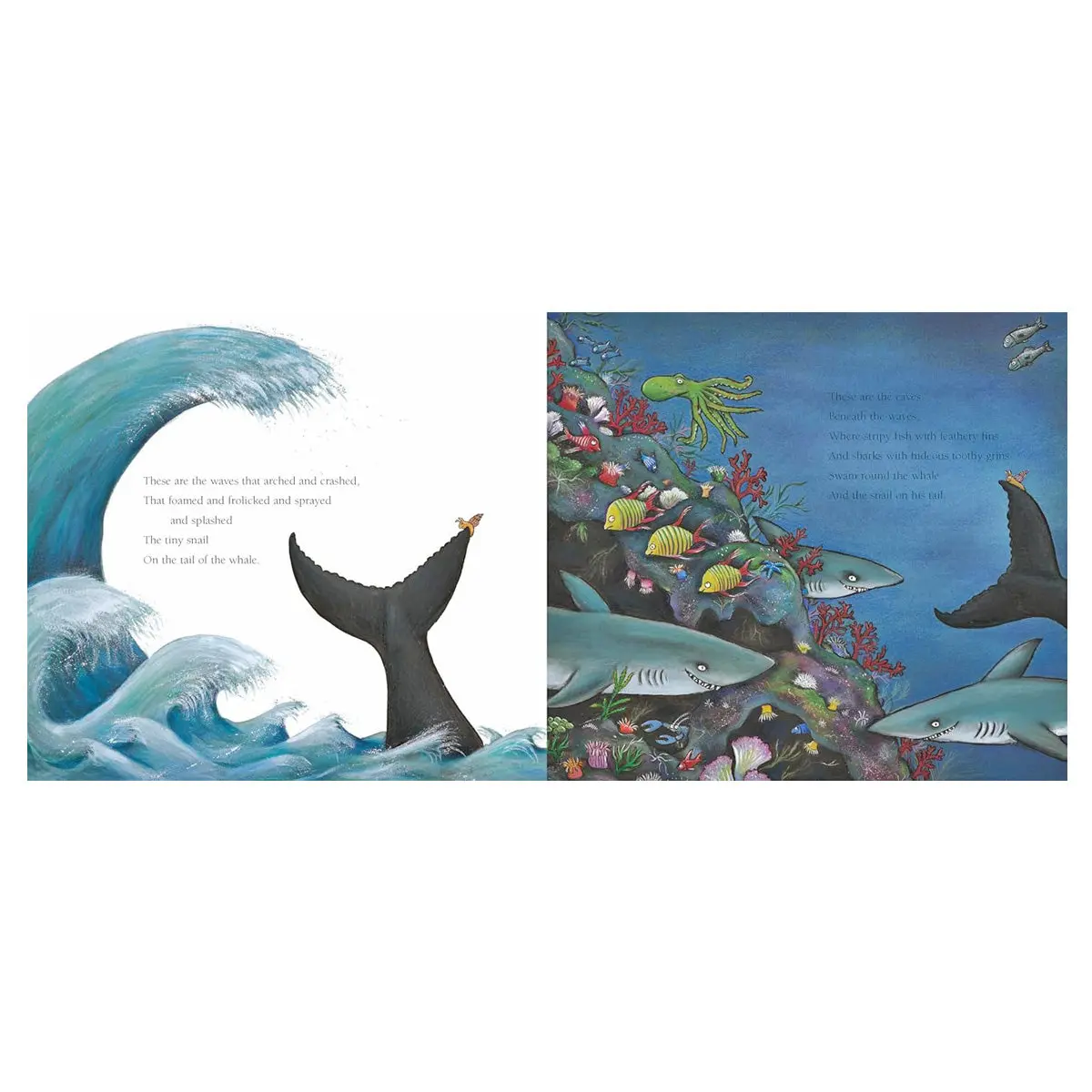 The Snail And The Whale Paperback Book 2
