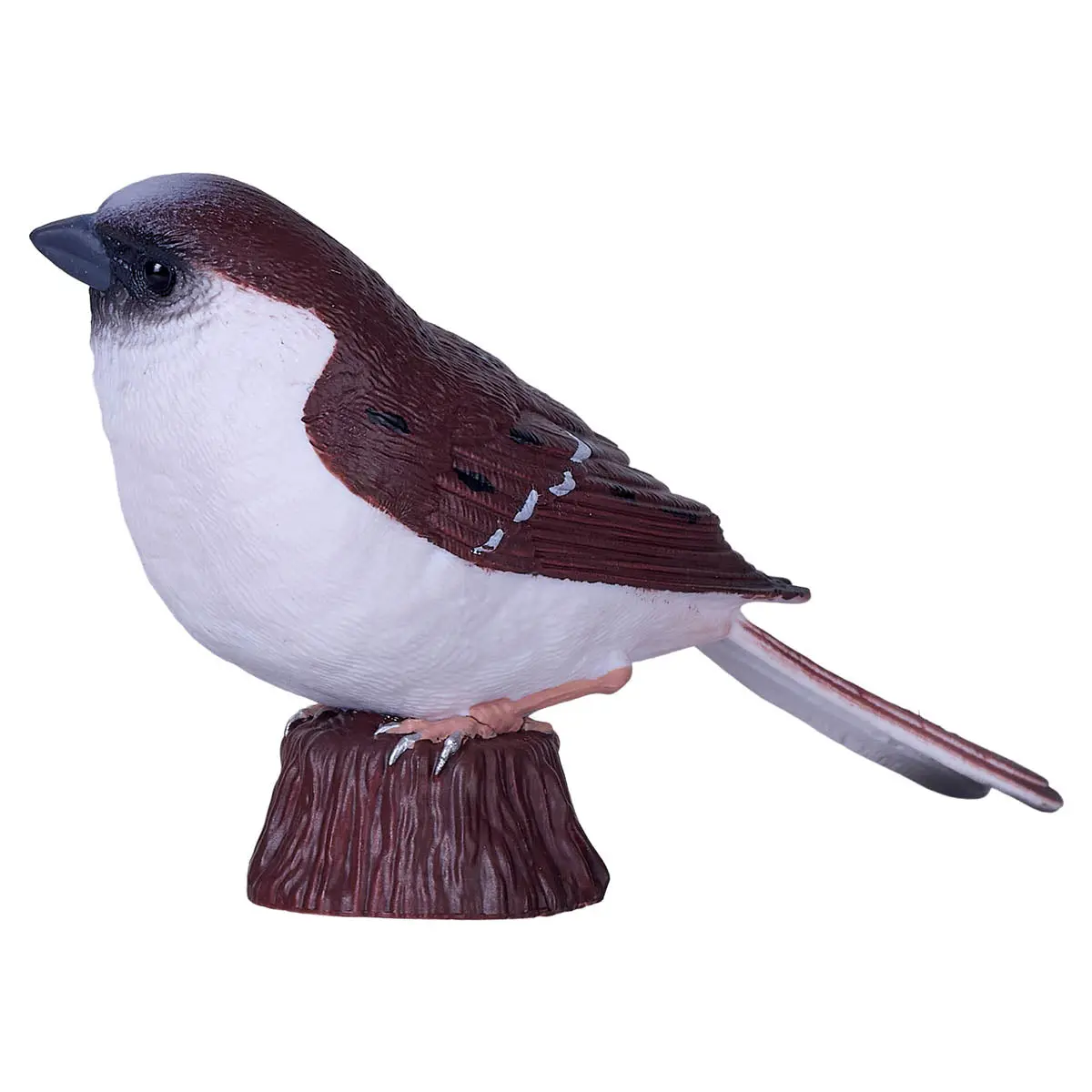 House Sparrow Figure 1