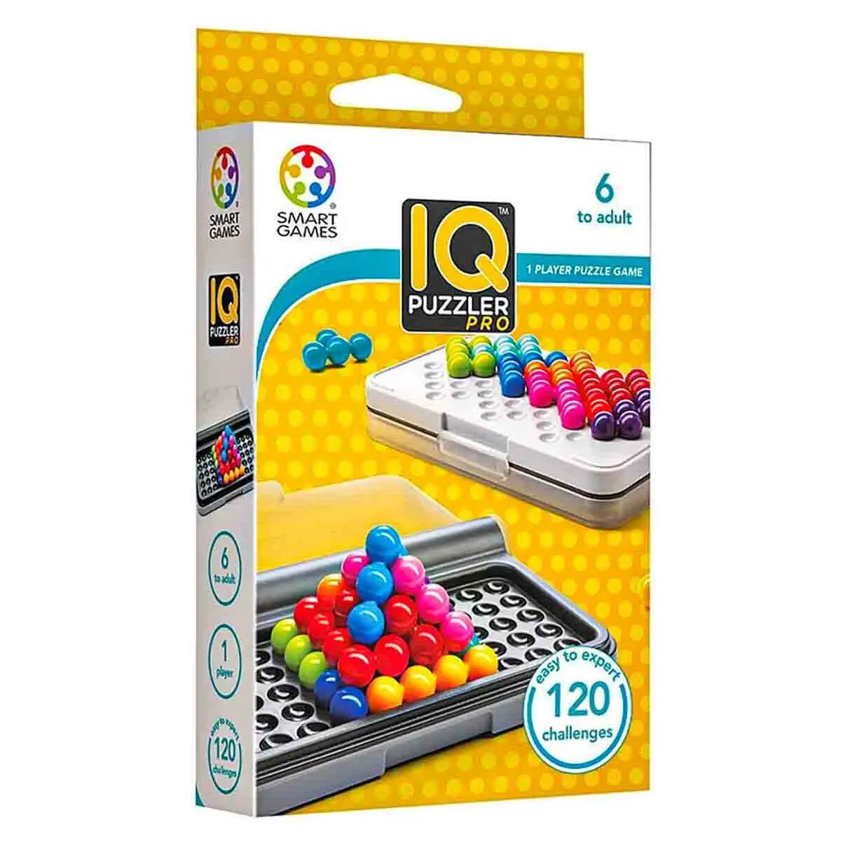 Iq Puzzler Pro Puzzle Game 1