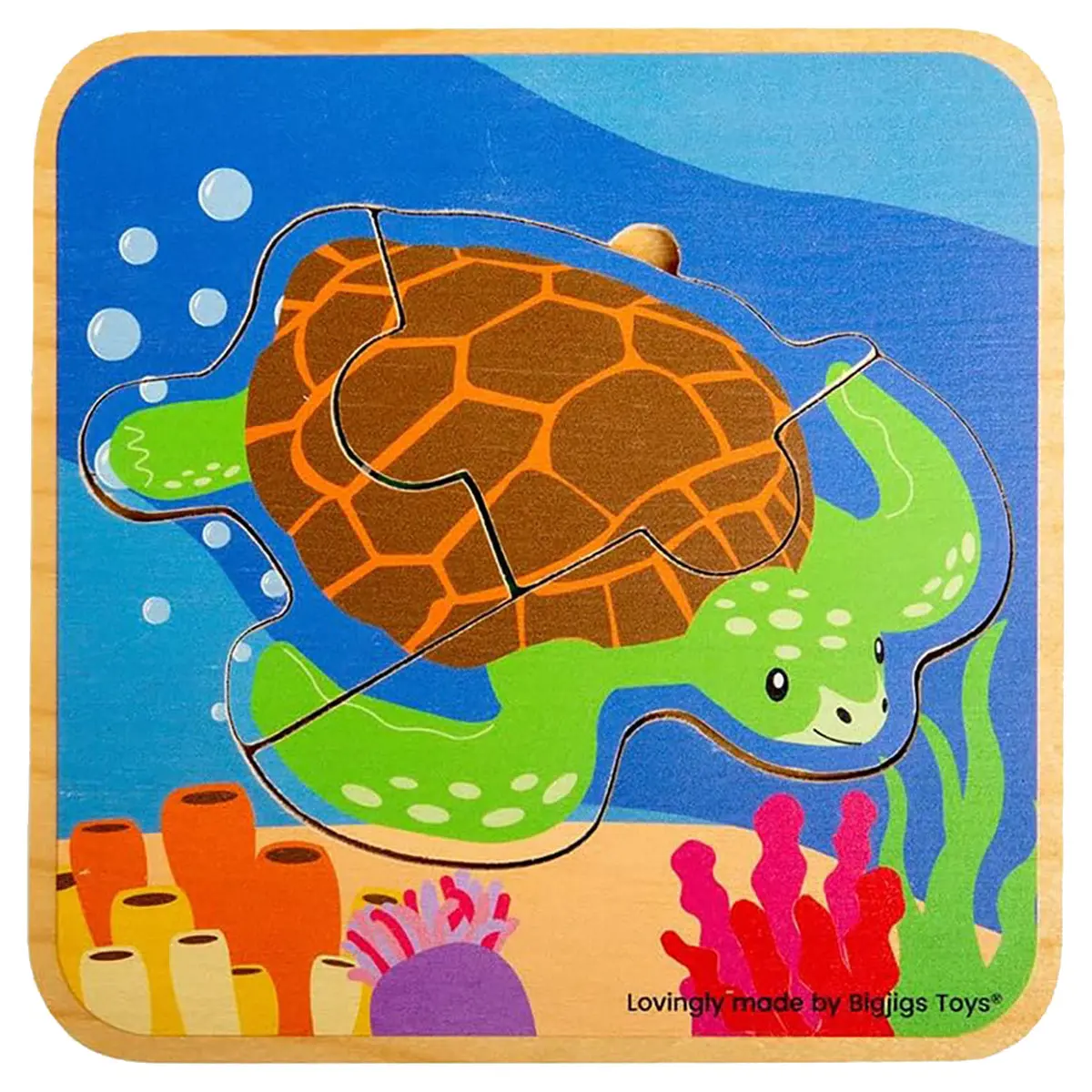 Sea Turtle Life Cycle Layer Puzzle 1