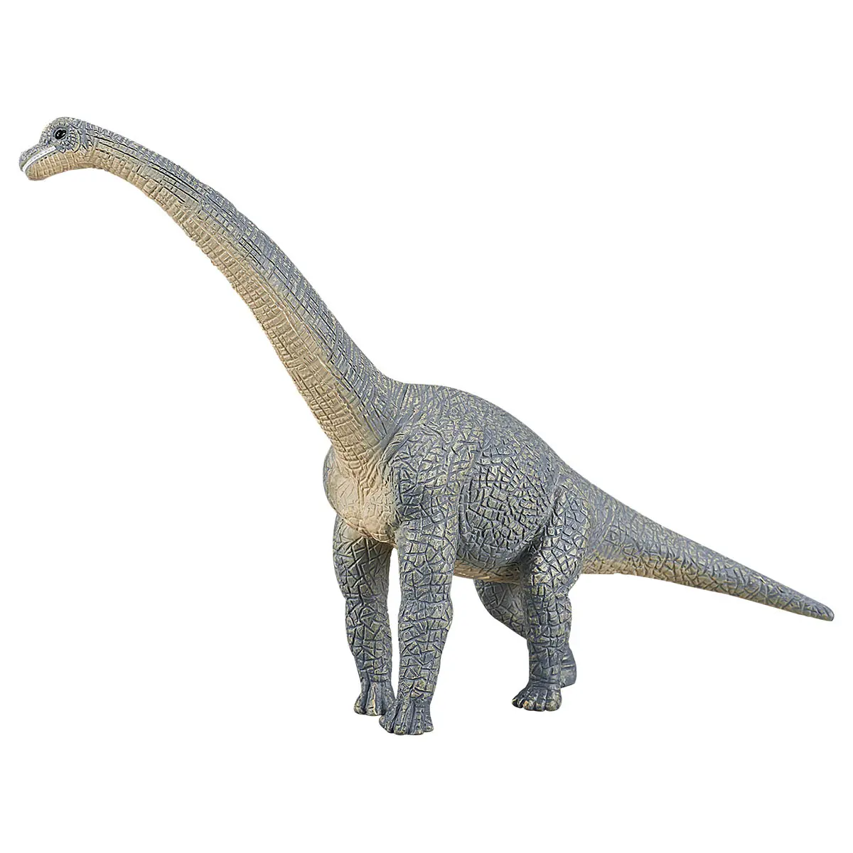 Mojo Fun Prehistoric Life Brachiosaurus Figure 1