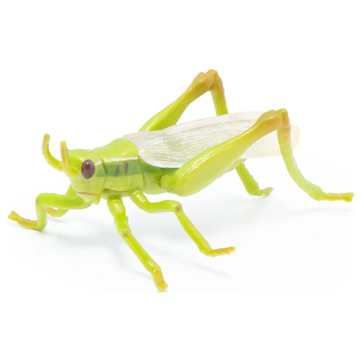 Papo Grasshopper Figure 1